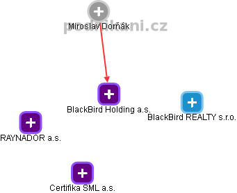 BlackBird Holding a.s. - náhled vizuálního zobrazení vztahů obchodního rejstříku