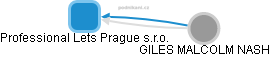 Professional Lets Prague s.r.o. - náhled vizuálního zobrazení vztahů obchodního rejstříku