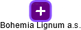 Bohemia Lignum a.s. - náhled vizuálního zobrazení vztahů obchodního rejstříku