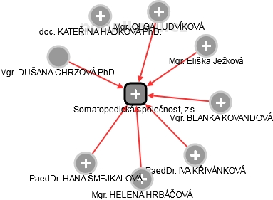 Somatopedická společnost, z.s. - náhled vizuálního zobrazení vztahů obchodního rejstříku