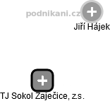 TJ Sokol Zaječice, z.s. - náhled vizuálního zobrazení vztahů obchodního rejstříku
