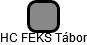 HC FEKS Tábor - náhled vizuálního zobrazení vztahů obchodního rejstříku
