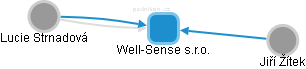 Well-Sense s.r.o. - náhled vizuálního zobrazení vztahů obchodního rejstříku