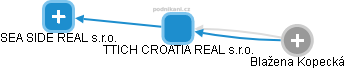 TTICH CROATIA REAL s.r.o. - náhled vizuálního zobrazení vztahů obchodního rejstříku