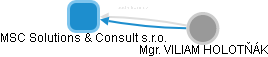 MSC Solutions & Consult s.r.o. - náhled vizuálního zobrazení vztahů obchodního rejstříku