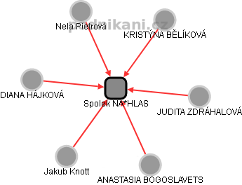Spolek NA*HLAS - náhled vizuálního zobrazení vztahů obchodního rejstříku