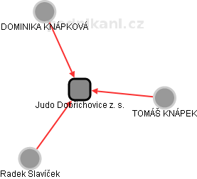 Judo Dobřichovice z. s. - náhled vizuálního zobrazení vztahů obchodního rejstříku