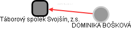 Táborový spolek Svojšín, z.s. - náhled vizuálního zobrazení vztahů obchodního rejstříku