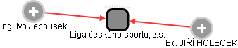 Liga českého sportu, z.s. - náhled vizuálního zobrazení vztahů obchodního rejstříku