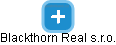 Blackthorn Real s.r.o. - náhled vizuálního zobrazení vztahů obchodního rejstříku