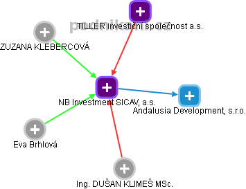 NB Investment SICAV, a.s. - náhled vizuálního zobrazení vztahů obchodního rejstříku