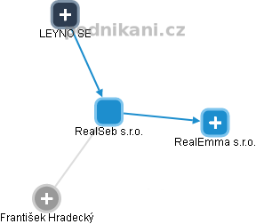 RealSeb s.r.o. - náhled vizuálního zobrazení vztahů obchodního rejstříku