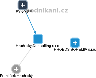 Hradecký Consulting s.r.o. - náhled vizuálního zobrazení vztahů obchodního rejstříku