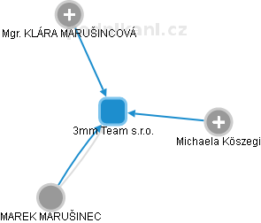 3mm Team s.r.o. - náhled vizuálního zobrazení vztahů obchodního rejstříku