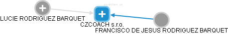 CZCOACH s.r.o. - náhled vizuálního zobrazení vztahů obchodního rejstříku