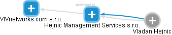 Hejnic Management Services s.r.o. - náhled vizuálního zobrazení vztahů obchodního rejstříku