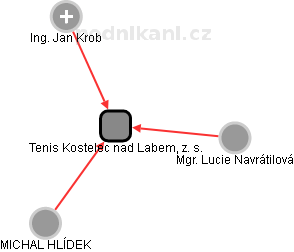 Tenis Kostelec nad Labem, z. s. - náhled vizuálního zobrazení vztahů obchodního rejstříku