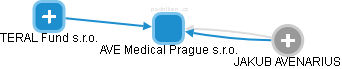 AVE Medical Prague s.r.o. - náhled vizuálního zobrazení vztahů obchodního rejstříku
