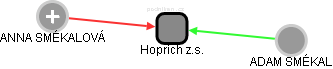 Hoprich z.s. - náhled vizuálního zobrazení vztahů obchodního rejstříku
