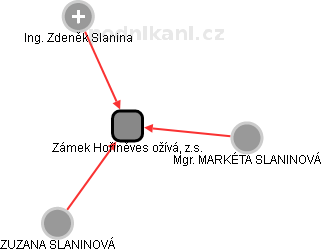 Zámek Hořiněves ožívá, z.s. - náhled vizuálního zobrazení vztahů obchodního rejstříku