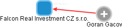 Falcon Real Investment CZ s.r.o. - náhled vizuálního zobrazení vztahů obchodního rejstříku