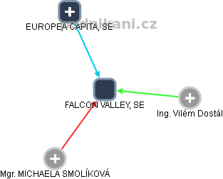 FALCON VALLEY, SE - náhled vizuálního zobrazení vztahů obchodního rejstříku
