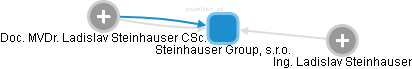 Steinhauser Group, s.r.o. - náhled vizuálního zobrazení vztahů obchodního rejstříku