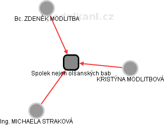 Spolek nejen olšanských bab - náhled vizuálního zobrazení vztahů obchodního rejstříku