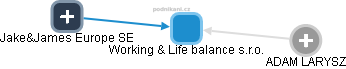 Working & Life balance s.r.o. - náhled vizuálního zobrazení vztahů obchodního rejstříku
