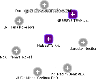NEBESYS a.s. - náhled vizuálního zobrazení vztahů obchodního rejstříku