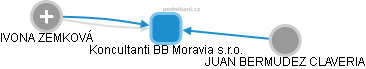 Koncultanti BB Moravia s.r.o. - náhled vizuálního zobrazení vztahů obchodního rejstříku