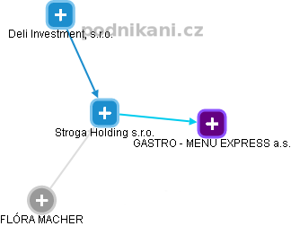 Stroga Holding s.r.o. - náhled vizuálního zobrazení vztahů obchodního rejstříku