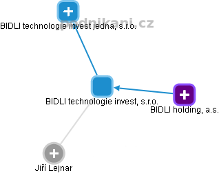BIDLI technologie invest, s.r.o. - náhled vizuálního zobrazení vztahů obchodního rejstříku