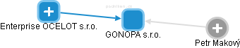 GONOPA s.r.o. - náhled vizuálního zobrazení vztahů obchodního rejstříku