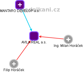 AVILA REAL a.s. - náhled vizuálního zobrazení vztahů obchodního rejstříku