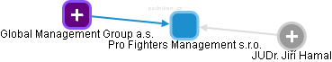 Pro Fighters Management s.r.o. - náhled vizuálního zobrazení vztahů obchodního rejstříku