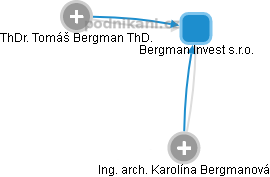 Bergman Invest s.r.o. - náhled vizuálního zobrazení vztahů obchodního rejstříku