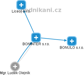 BONINTER s.r.o. - náhled vizuálního zobrazení vztahů obchodního rejstříku