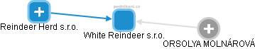 White Reindeer s.r.o. - náhled vizuálního zobrazení vztahů obchodního rejstříku