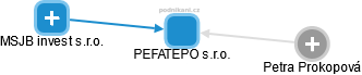 PEFATEPO s.r.o. - náhled vizuálního zobrazení vztahů obchodního rejstříku