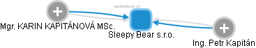 Sleepy Bear s.r.o. - náhled vizuálního zobrazení vztahů obchodního rejstříku