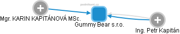 Gummy Bear s.r.o. - náhled vizuálního zobrazení vztahů obchodního rejstříku