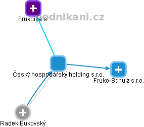 Český hospodářský holding s.r.o. - náhled vizuálního zobrazení vztahů obchodního rejstříku