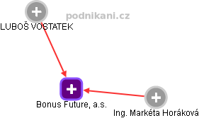 Bonus Future, a.s. - náhled vizuálního zobrazení vztahů obchodního rejstříku