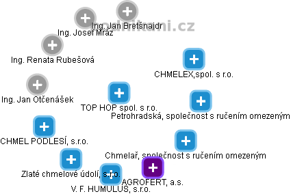 TOP HOP spol. s r.o. - náhled vizuálního zobrazení vztahů obchodního rejstříku