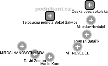 Tělocvičná jednota Sokol Šakvice - náhled vizuálního zobrazení vztahů obchodního rejstříku