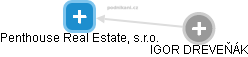 Penthouse Real Estate, s.r.o. - náhled vizuálního zobrazení vztahů obchodního rejstříku