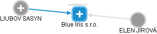 Blue Iris s.r.o. - náhled vizuálního zobrazení vztahů obchodního rejstříku