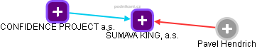 ŠUMAVA KING, a.s. - náhled vizuálního zobrazení vztahů obchodního rejstříku