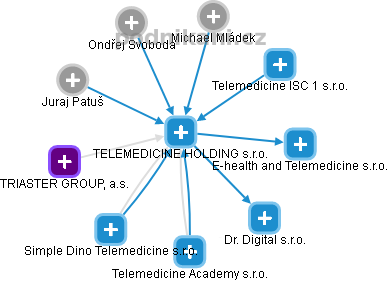 TELEMEDICINE HOLDING s.r.o. - náhled vizuálního zobrazení vztahů obchodního rejstříku